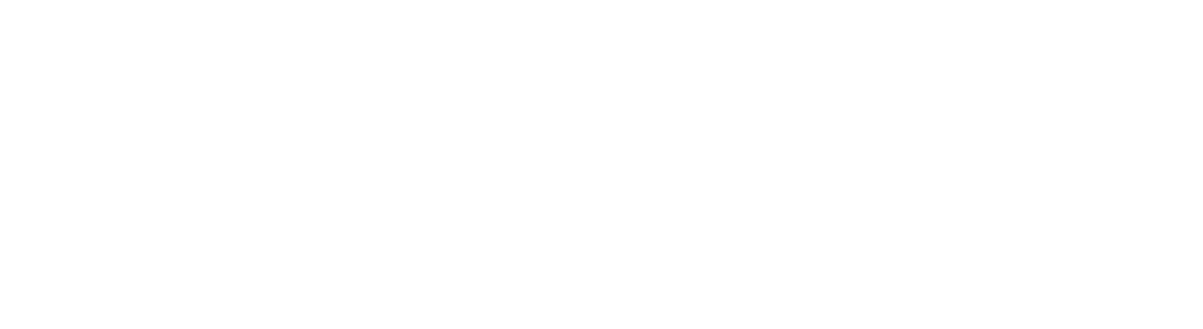 E-solo